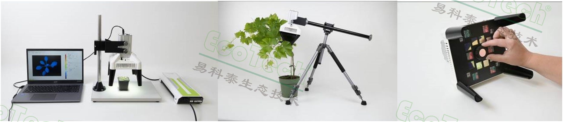 Ê×Ò³| º£ÑóÖ®Éñhy590×îйٷ½ÍøÕ¾