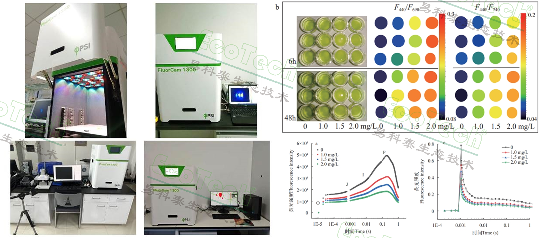 Ê×Ò³| º£ÑóÖ®Éñhy590×îйٷ½ÍøÕ¾