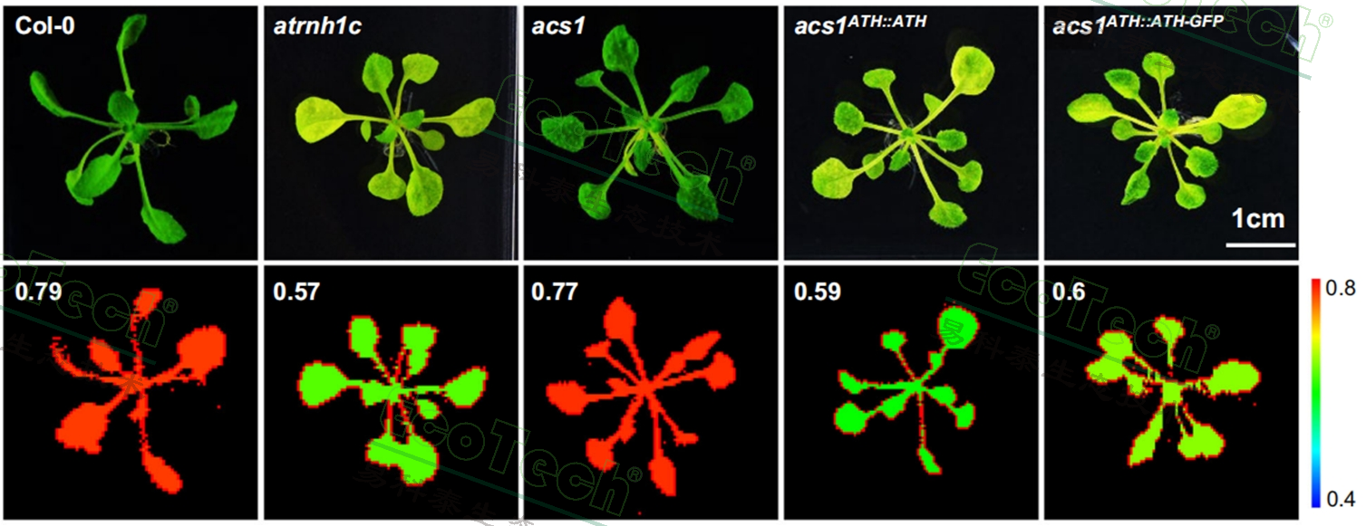 ��ҳ| ����֮��hy590���¹ٷ���վ