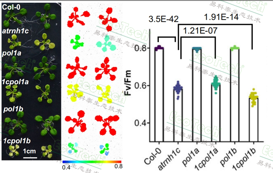 ��ҳ| ����֮��hy590���¹ٷ���վ