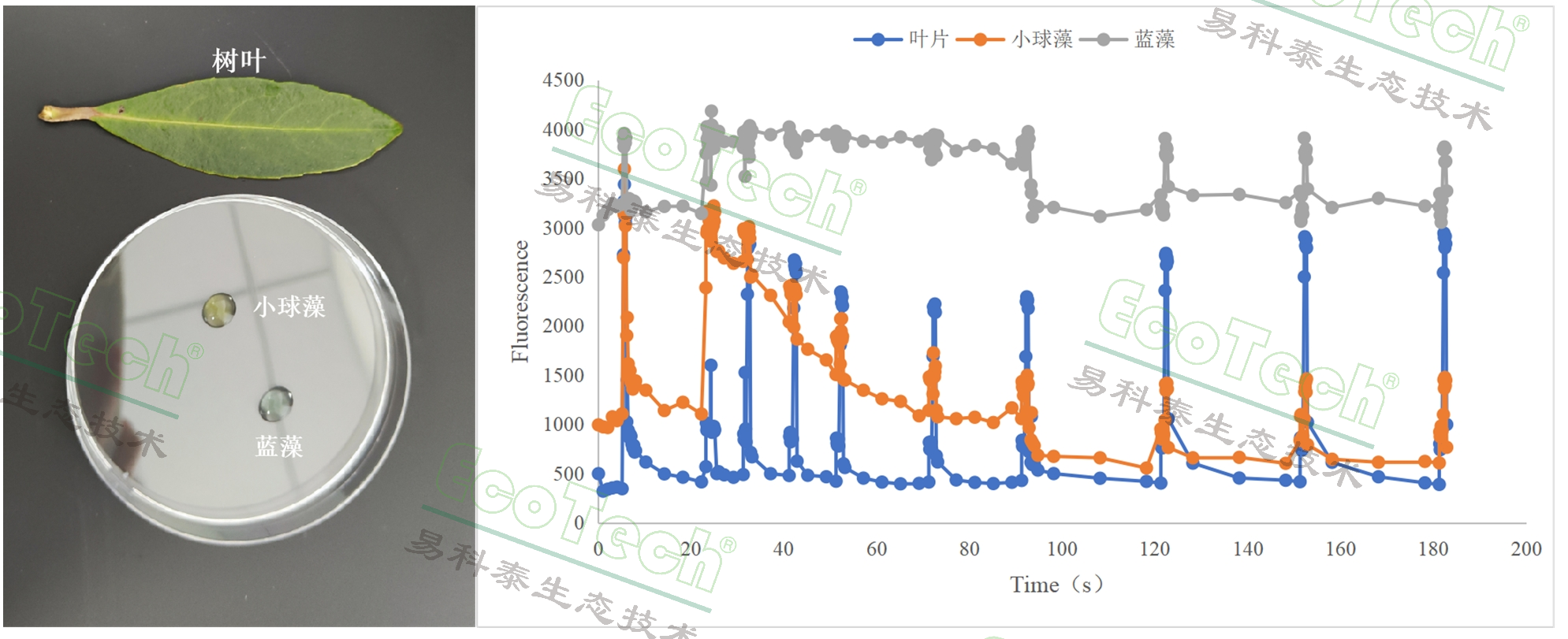 ��ҳ| ����֮��hy590���¹ٷ���վ