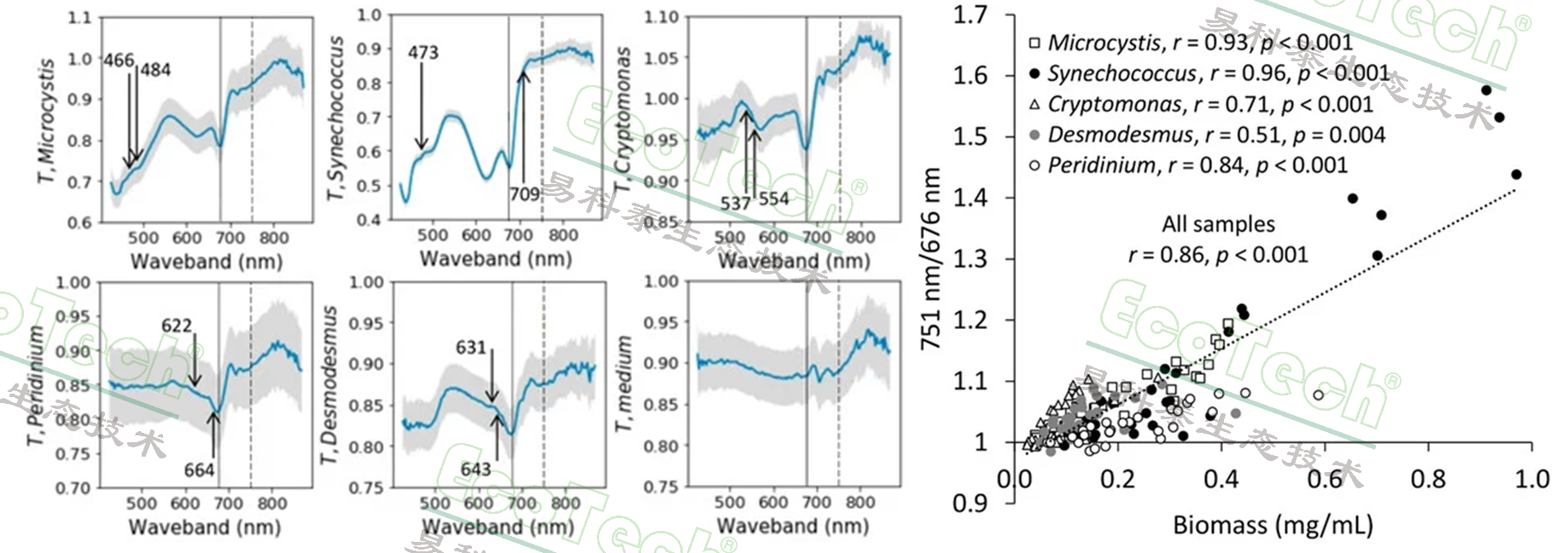 ��ҳ| ����֮��hy590���¹ٷ���վ