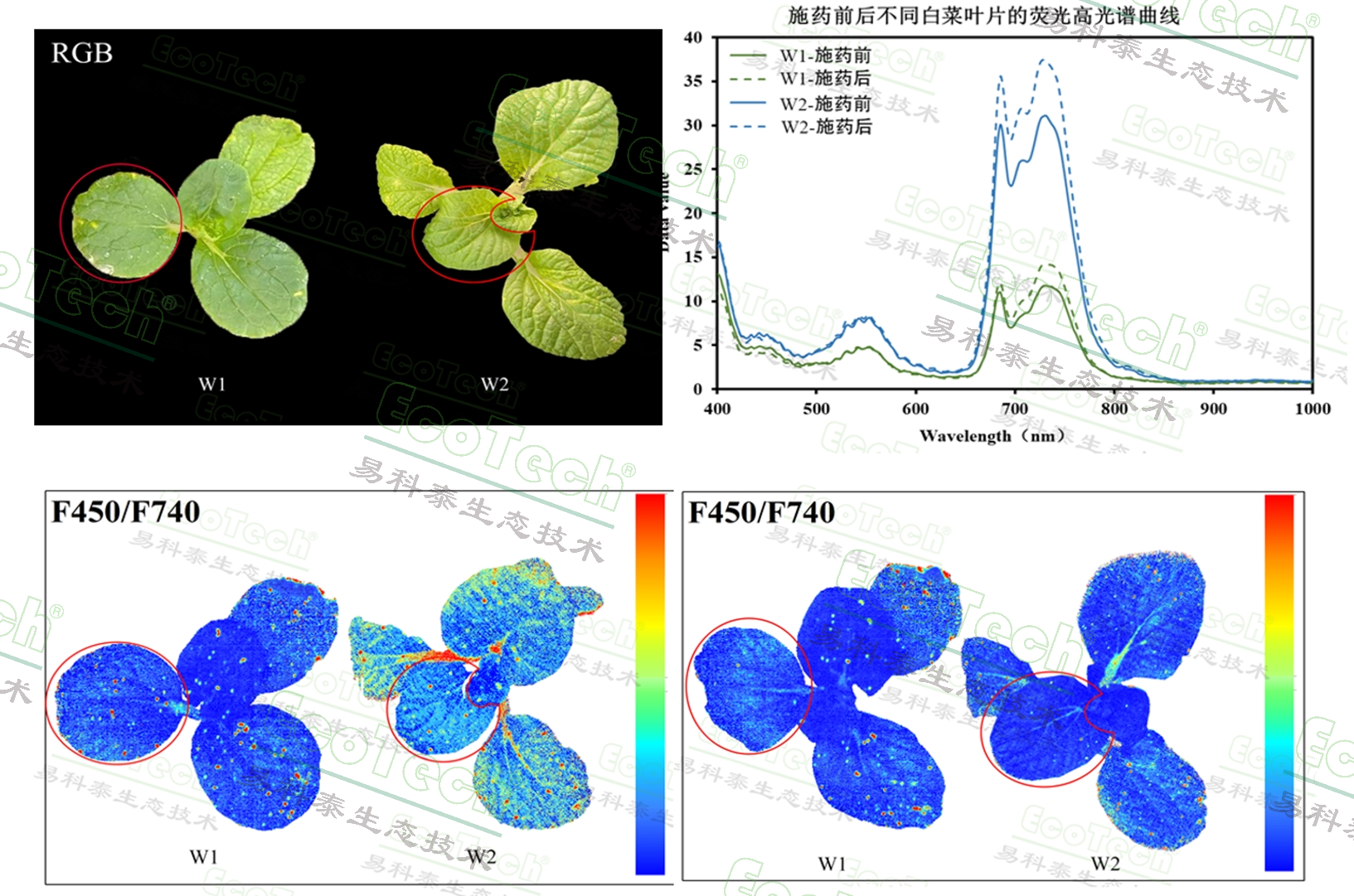 ��ҳ| ����֮��hy590���¹ٷ���վ