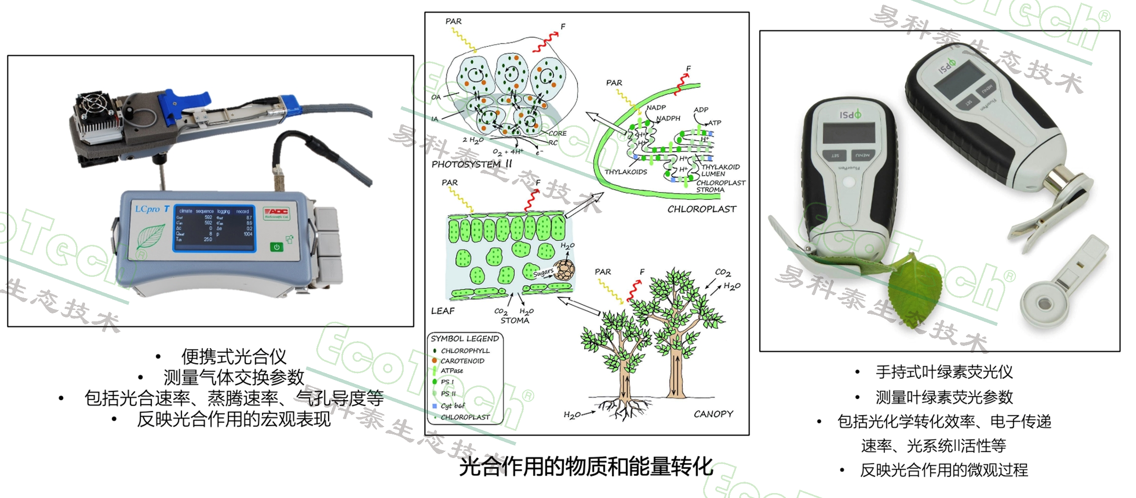 Ê×Ò³| º£ÑóÖ®Éñhy590×îйٷ½ÍøÕ¾