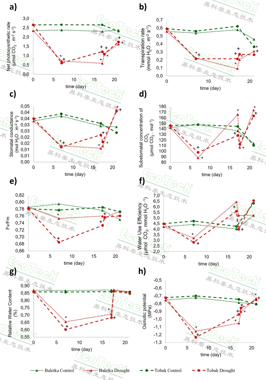 Ê×Ò³| º£ÑóÖ®Éñhy590×îйٷ½ÍøÕ¾