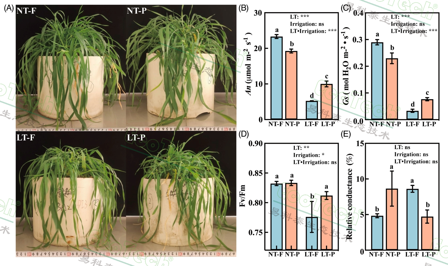 Ê×Ò³| º£ÑóÖ®Éñhy590×îйٷ½ÍøÕ¾