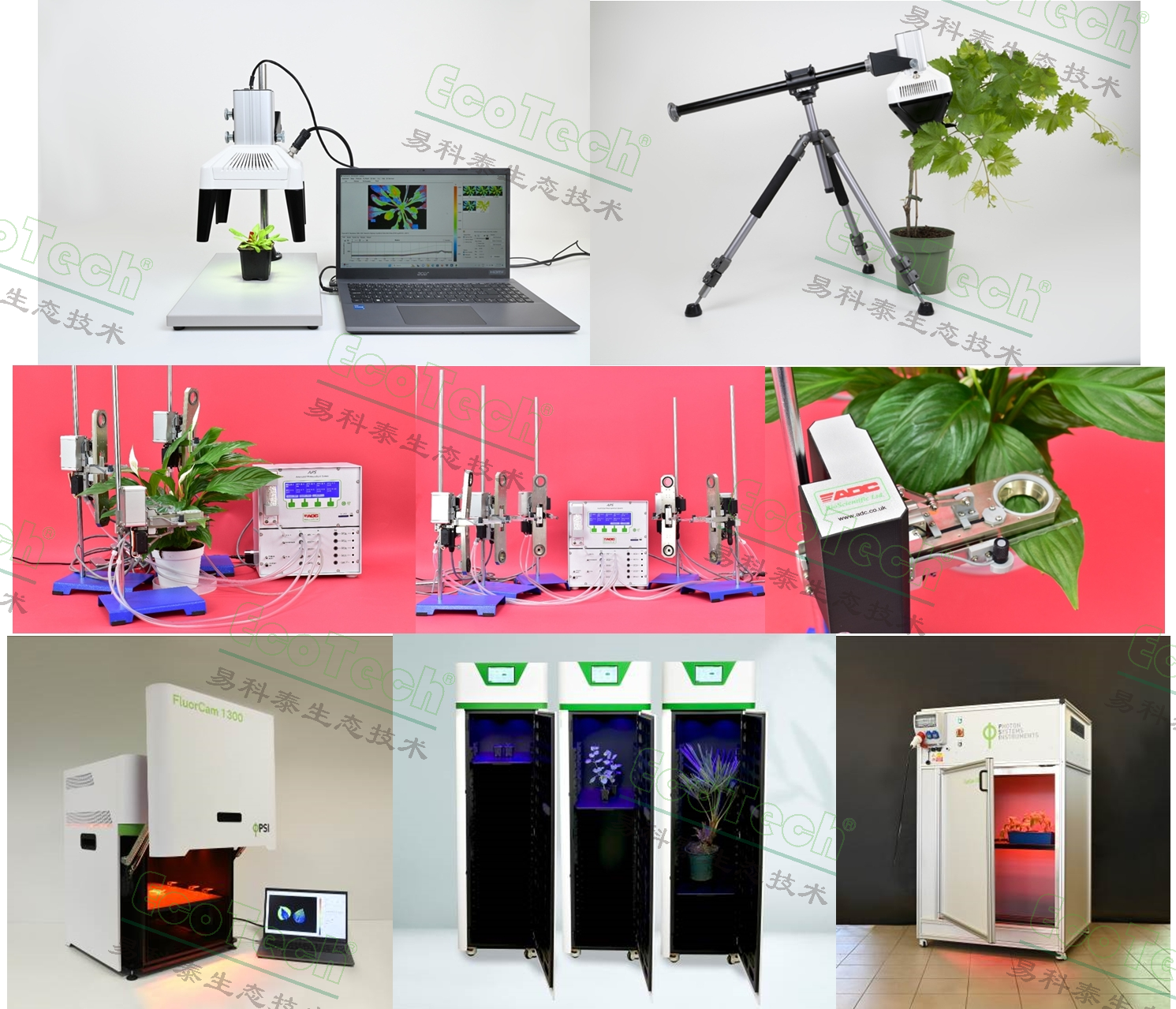 Ê×Ò³| º£ÑóÖ®Éñhy590×îйٷ½ÍøÕ¾