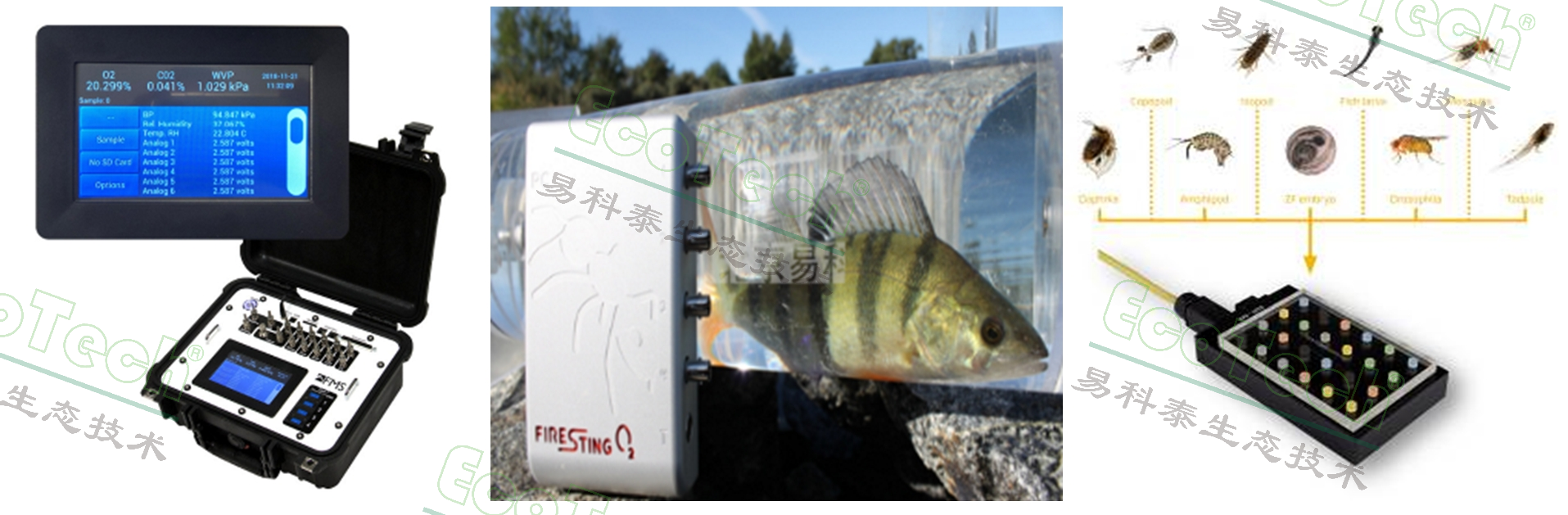 首页| 海洋之神hy590最新官方网站