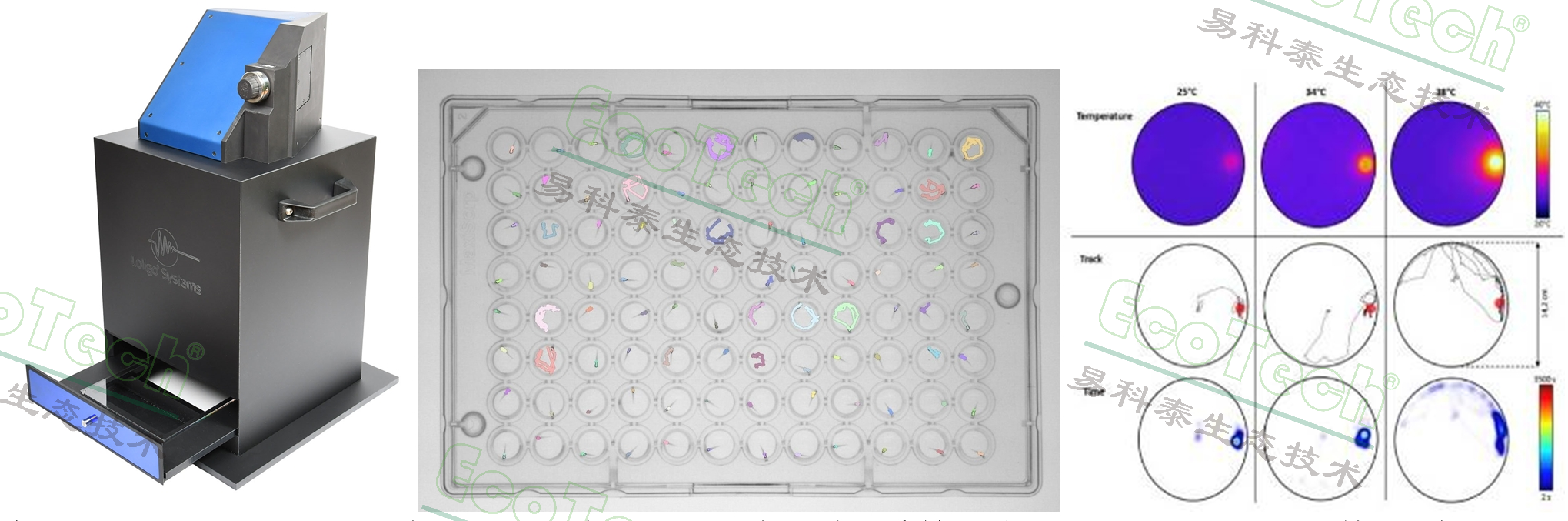 首页| 海洋之神hy590最新官方网站