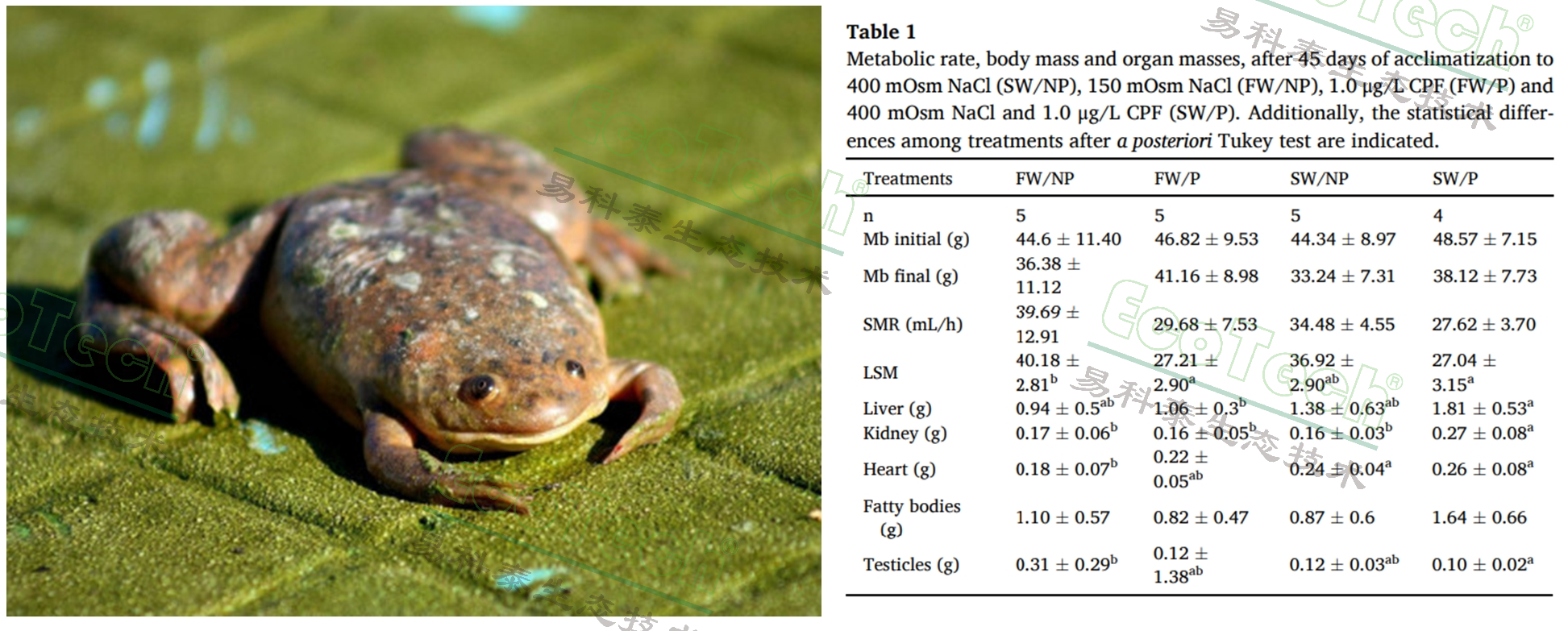 首页| 海洋之神hy590最新官方网站
