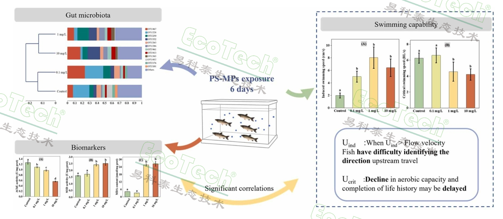 首页| 海洋之神hy590最新官方网站