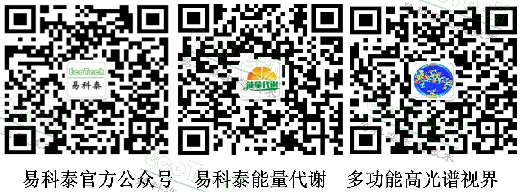 首页| 海洋之神hy590最新官方网站