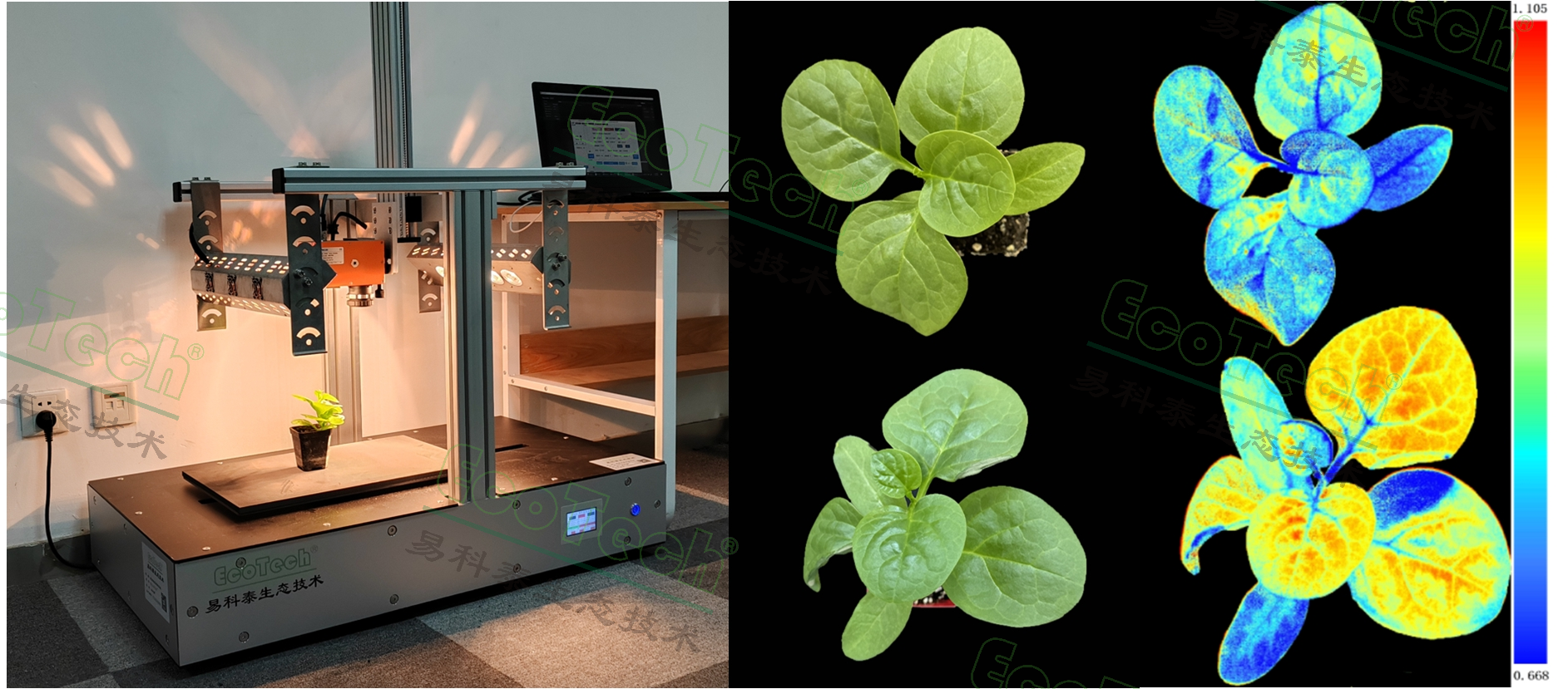 ��ҳ| ����֮��hy590���¹ٷ���վ