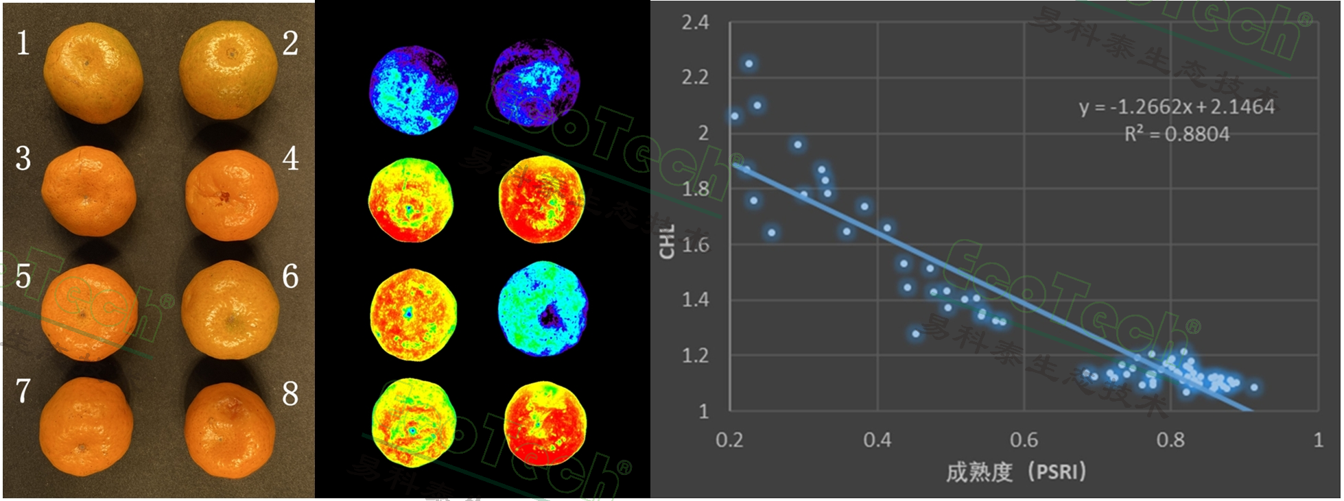 ��ҳ| ����֮��hy590���¹ٷ���վ