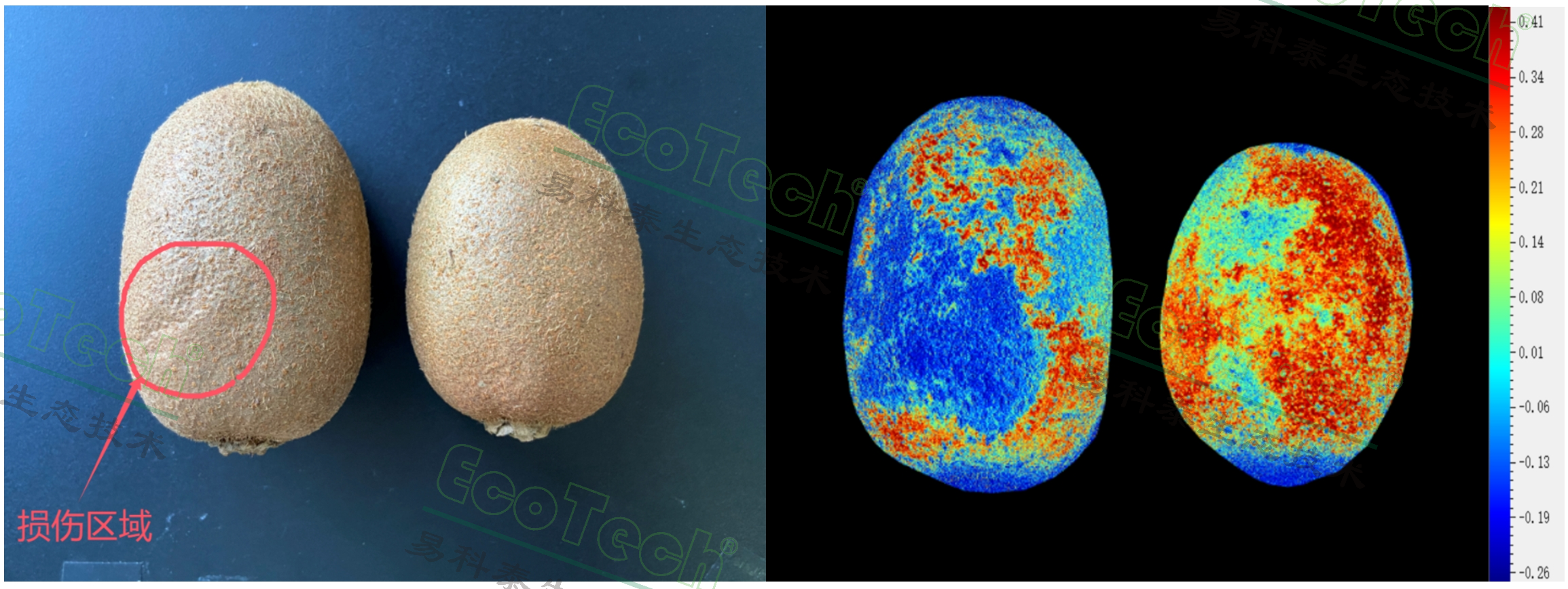 ��ҳ| ����֮��hy590���¹ٷ���վ