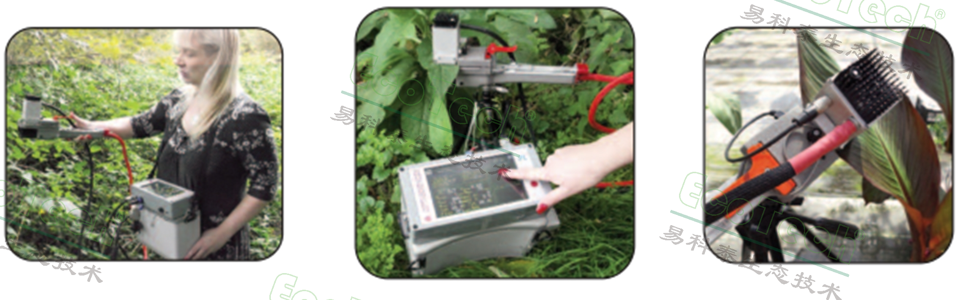 Ê×Ò³| º£ÑóÖ®Éñhy590×îйٷ½ÍøÕ¾