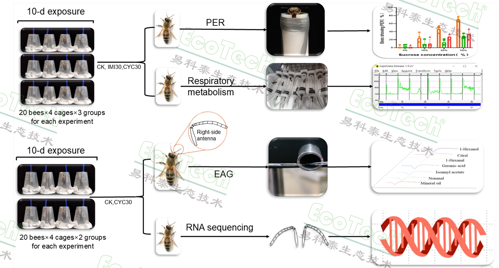 ��ҳ| ����֮��hy590���¹ٷ���վ