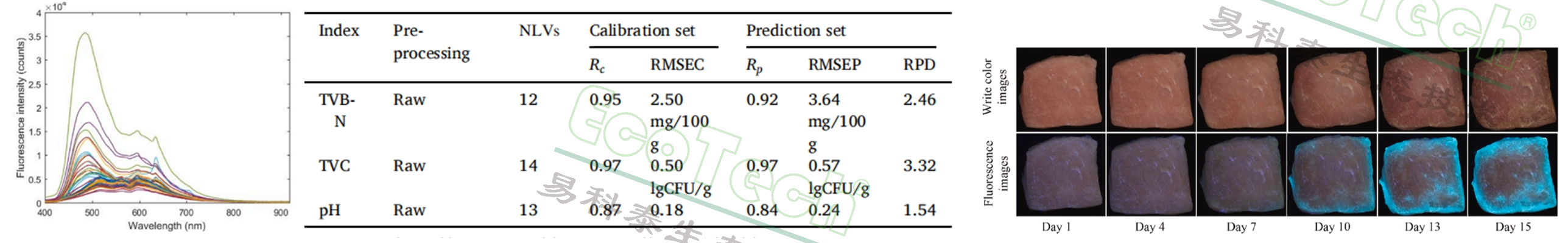 ��ҳ| ����֮��hy590���¹ٷ���վ