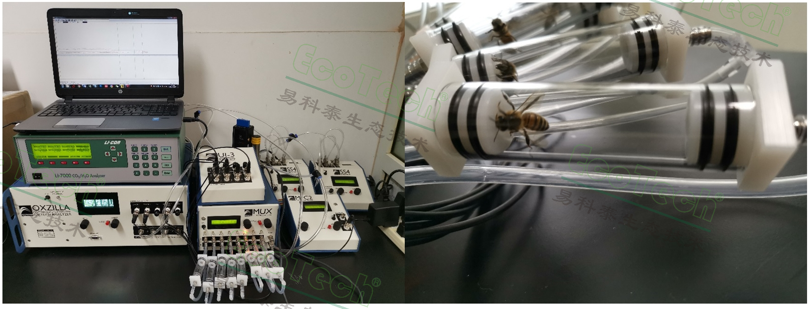 ��ҳ| ����֮��hy590���¹ٷ���վ