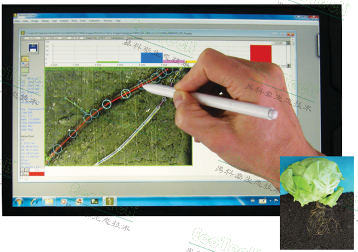 Ê×Ò³| º£ÑóÖ®Éñhy590×îйٷ½ÍøÕ¾