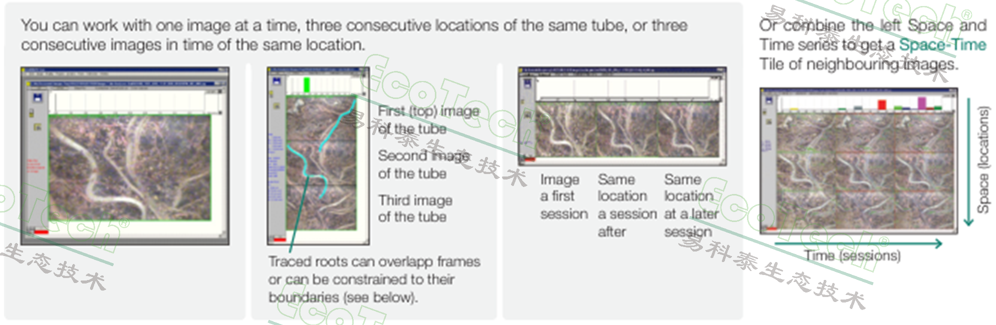 Ê×Ò³| º£ÑóÖ®Éñhy590×îйٷ½ÍøÕ¾