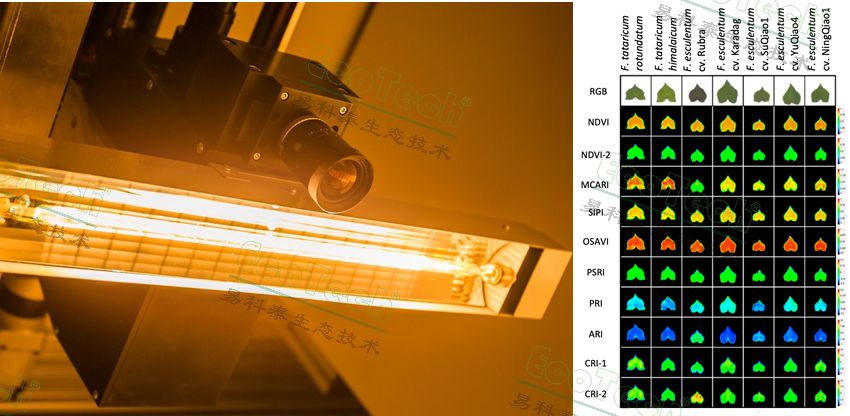 Ê×Ò³| º£ÑóÖ®Éñhy590×îйٷ½ÍøÕ¾