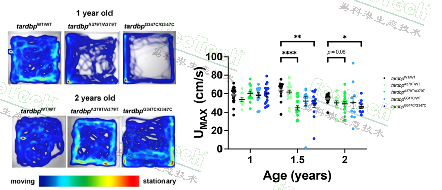 ��ҳ| ����֮��hy590���¹ٷ���վ