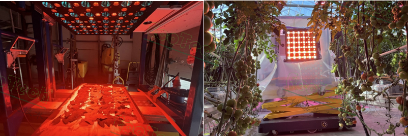 Ê×Ò³| º£ÑóÖ®Éñhy590×îйٷ½ÍøÕ¾