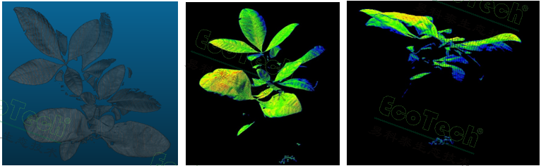 Ê×Ò³| º£ÑóÖ®Éñhy590×îйٷ½ÍøÕ¾