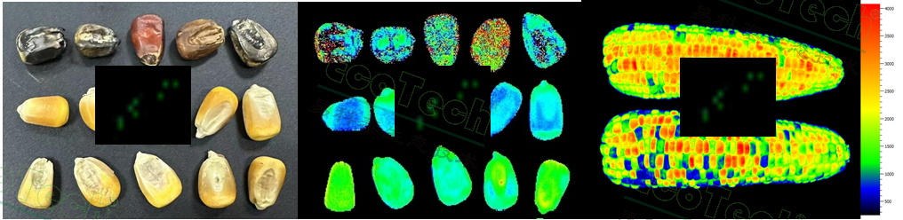 首页| 海洋之神hy590最新官方网站