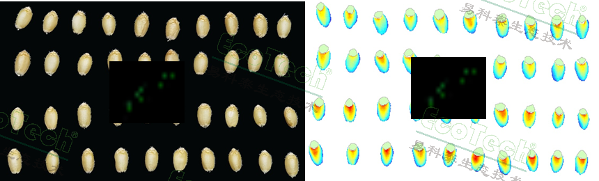 首页| 海洋之神hy590最新官方网站