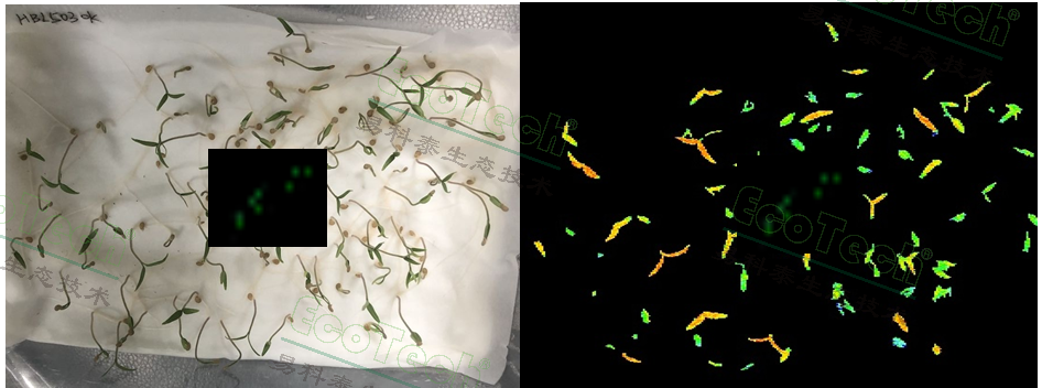 首页| 海洋之神hy590最新官方网站