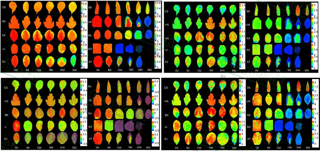 Ê×Ò³| º£ÑóÖ®Éñhy590×îйٷ½ÍøÕ¾