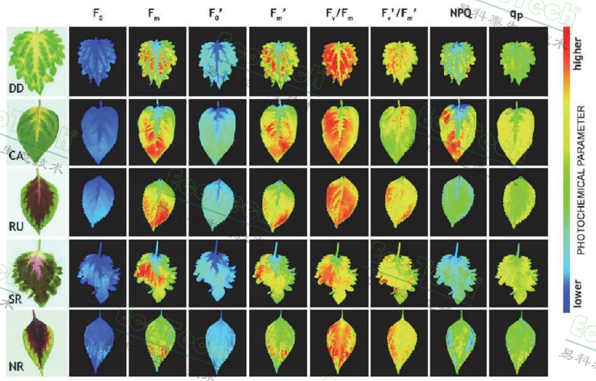 Ê×Ò³| º£ÑóÖ®Éñhy590×îйٷ½ÍøÕ¾