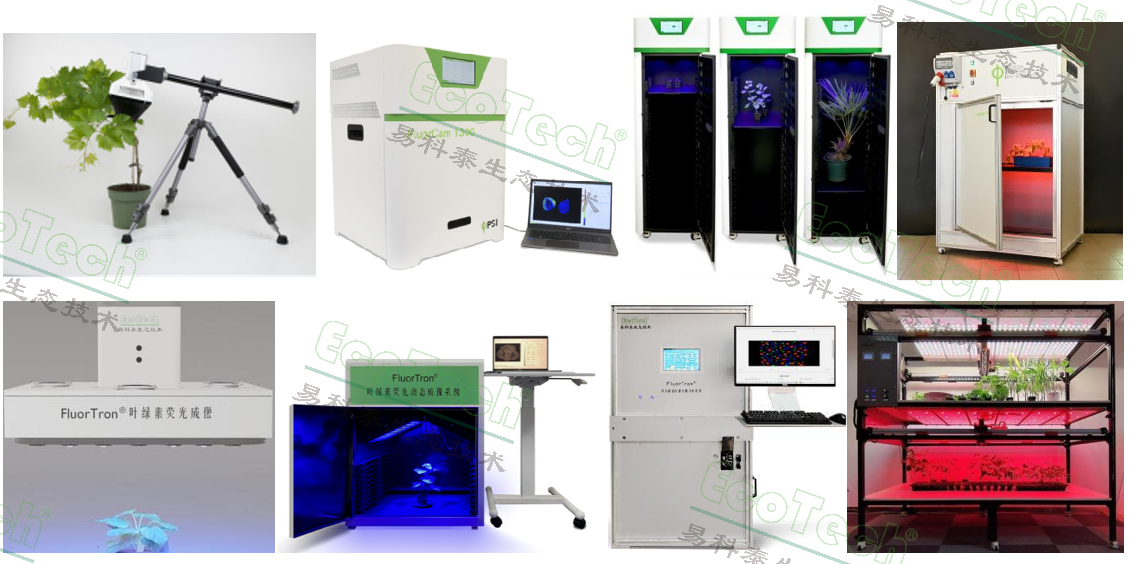 Ê×Ò³| º£ÑóÖ®Éñhy590×îйٷ½ÍøÕ¾