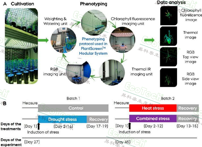 ��ҳ| ����֮��hy590���¹ٷ���վ