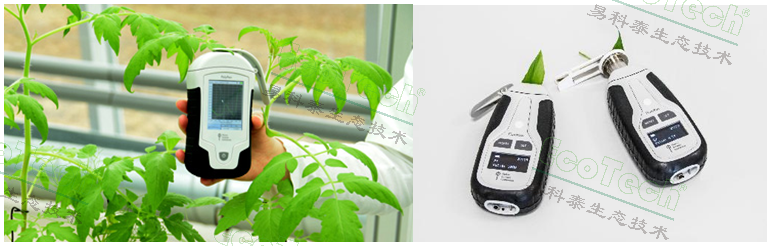 ��ҳ| ����֮��hy590���¹ٷ���վ