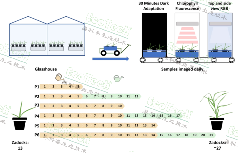 Ê×Ò³| º£ÑóÖ®Éñhy590×îйٷ½ÍøÕ¾
