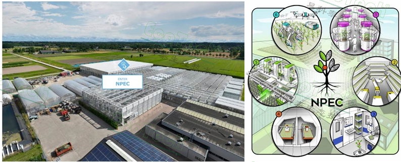 Ê×Ò³| º£ÑóÖ®Éñhy590×îйٷ½ÍøÕ¾