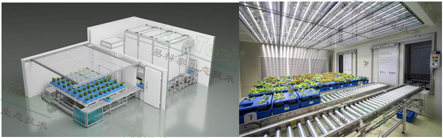 Ê×Ò³| º£ÑóÖ®Éñhy590×îйٷ½ÍøÕ¾