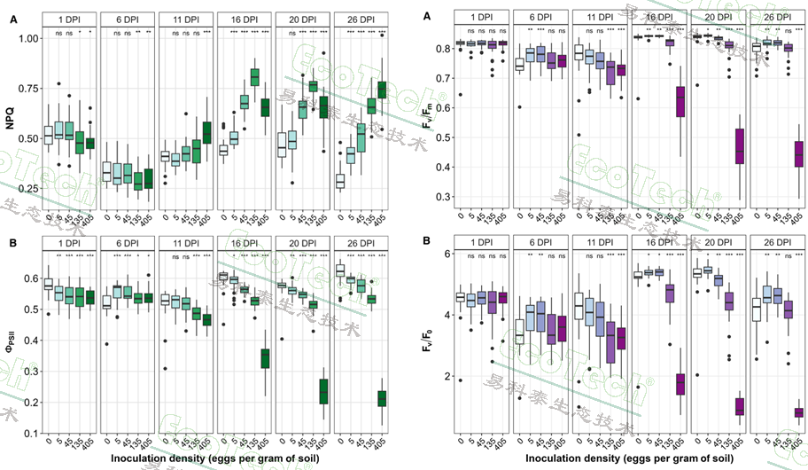 Ê×Ò³| º£ÑóÖ®Éñhy590×îйٷ½ÍøÕ¾