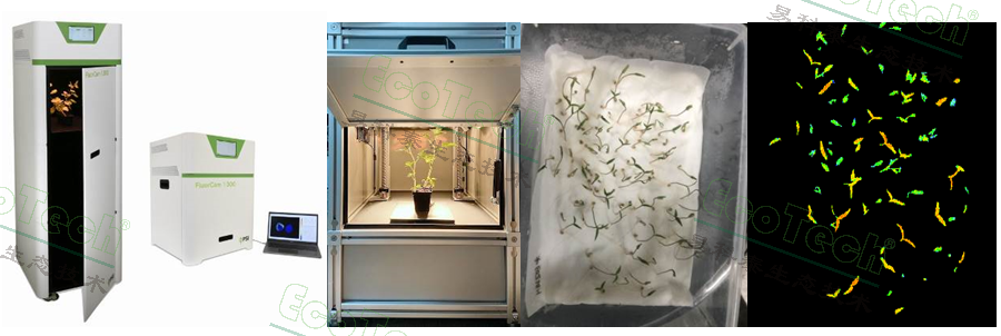 Ê×Ò³| º£ÑóÖ®Éñhy590×îйٷ½ÍøÕ¾