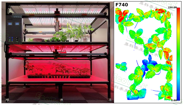 Ê×Ò³| º£ÑóÖ®Éñhy590×îйٷ½ÍøÕ¾