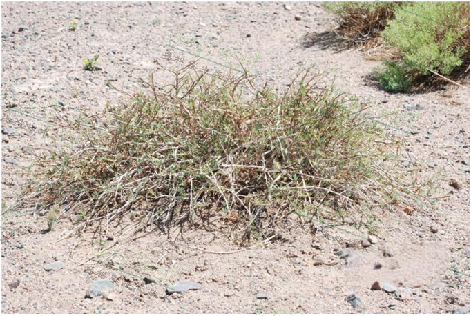 Ê×Ò³| º£ÑóÖ®Éñhy590×îйٷ½ÍøÕ¾