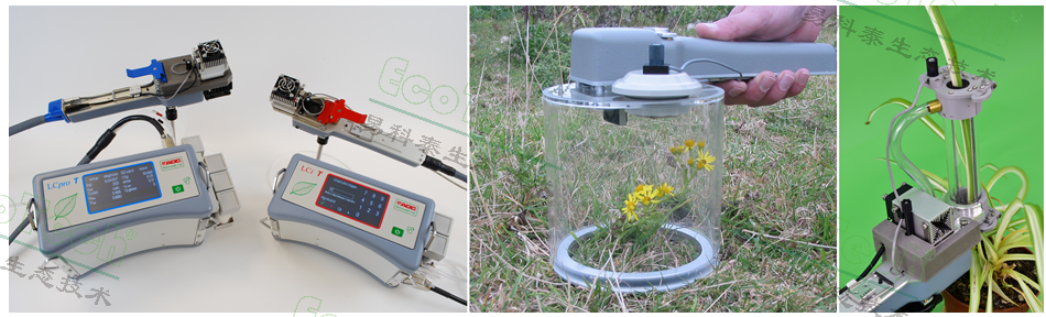 Ê×Ò³| º£ÑóÖ®Éñhy590×îйٷ½ÍøÕ¾