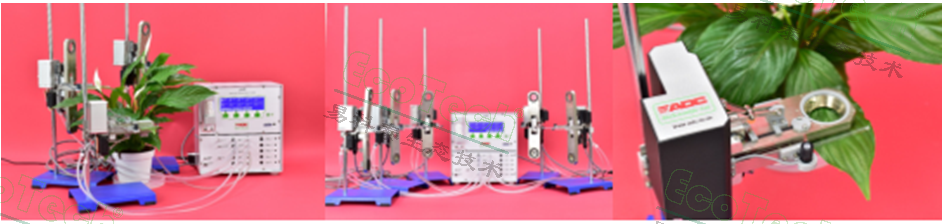 Ê×Ò³| º£ÑóÖ®Éñhy590×îйٷ½ÍøÕ¾