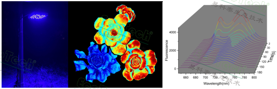 Ê×Ò³| º£ÑóÖ®Éñhy590×îйٷ½ÍøÕ¾
