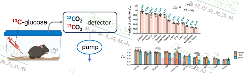 Ê×Ò³| º£ÑóÖ®Éñhy590×îйٷ½ÍøÕ¾