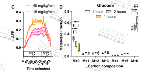 Ê×Ò³| º£ÑóÖ®Éñhy590×îйٷ½ÍøÕ¾