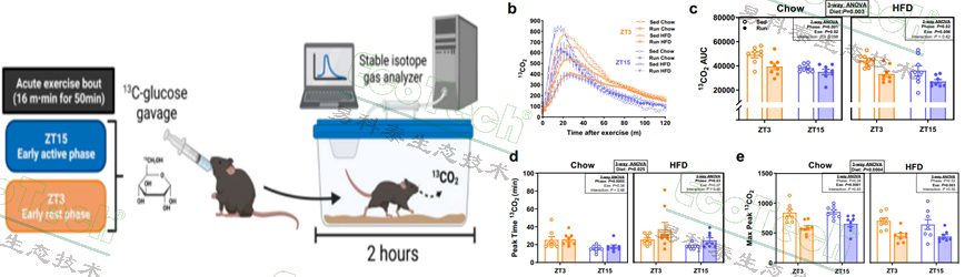 Ê×Ò³| º£ÑóÖ®Éñhy590×îйٷ½ÍøÕ¾